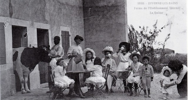 Ferme de l'établissement - goûter