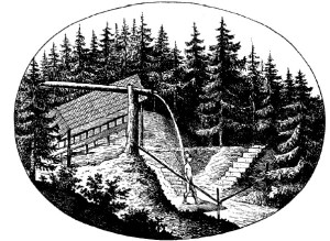 P.  Une douche de Vincent Priessnitz...